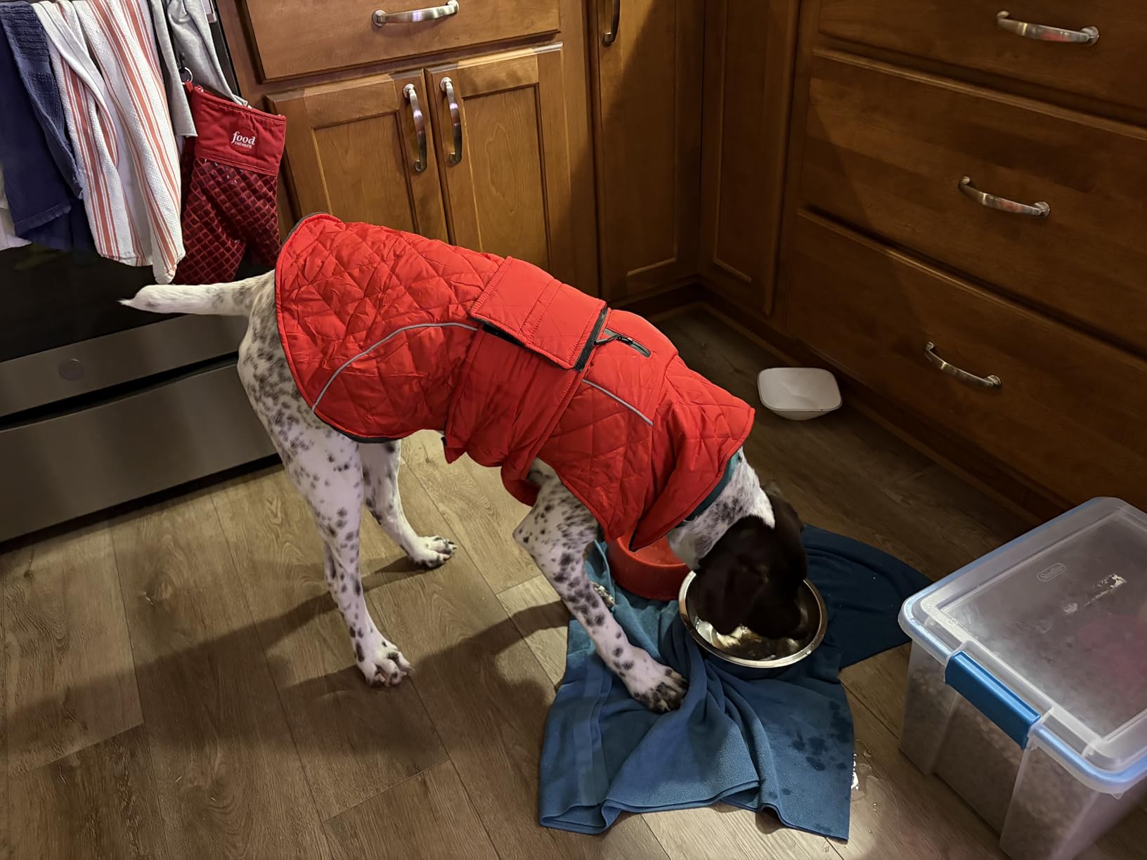 Kuoser Extra Warm Dog Coat, Windproof Cold Weather Dog Jackets for Large Dogs, Thick Fleece Lining Pet Turtleneck Snowsuit Reflective Adjustable Puppy Winter Coat Doggie Snow Jacket Grey, XL customer photo 2