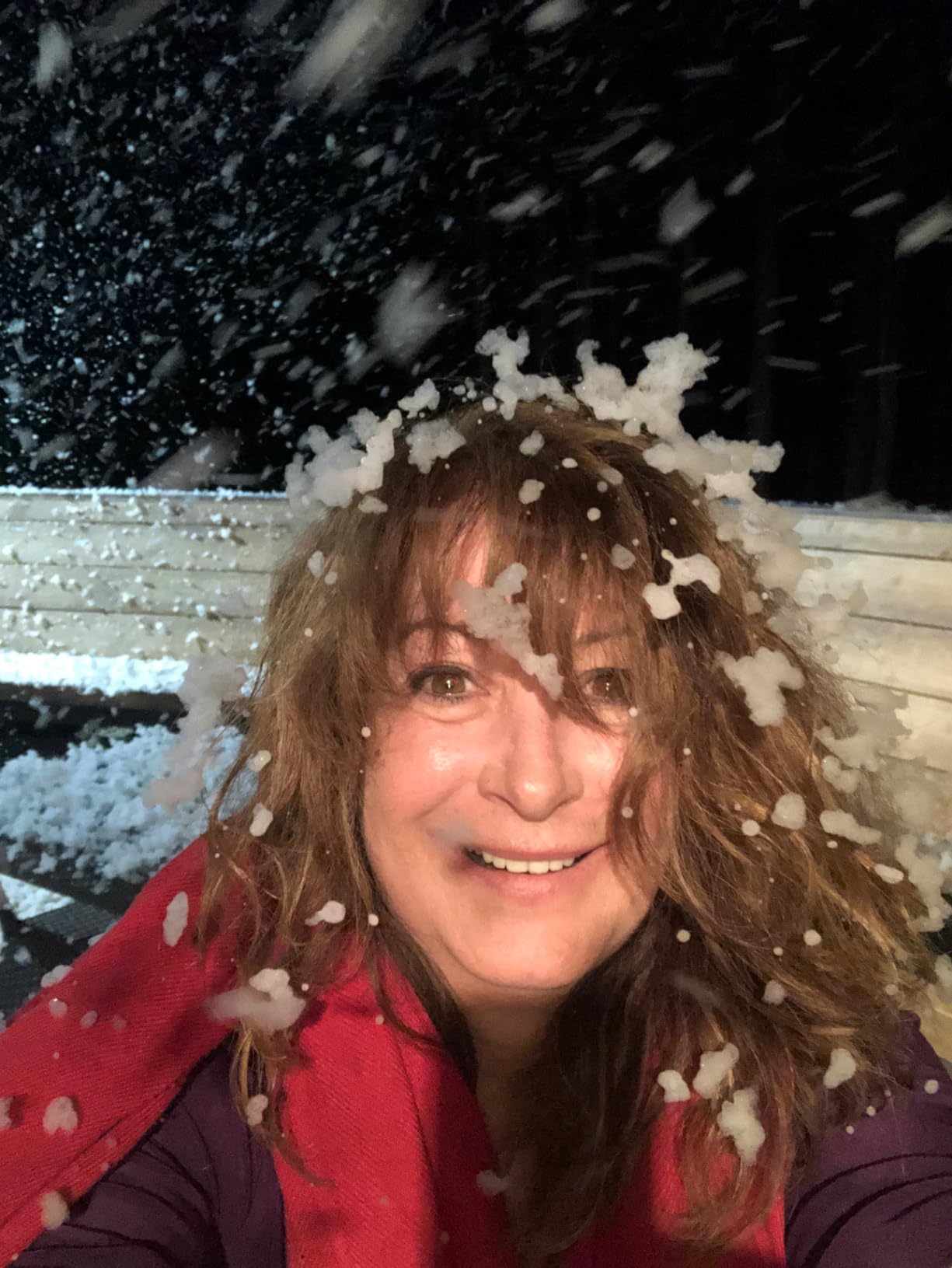 blessny High-velocity Snow Machine, Wired Remote Portable Premium Artificial Snowflake Machines for Indoor Outdoor Christmas Party, 650W Low Consumption with Max 2000CFM Output, ETL Listed customer photo 2