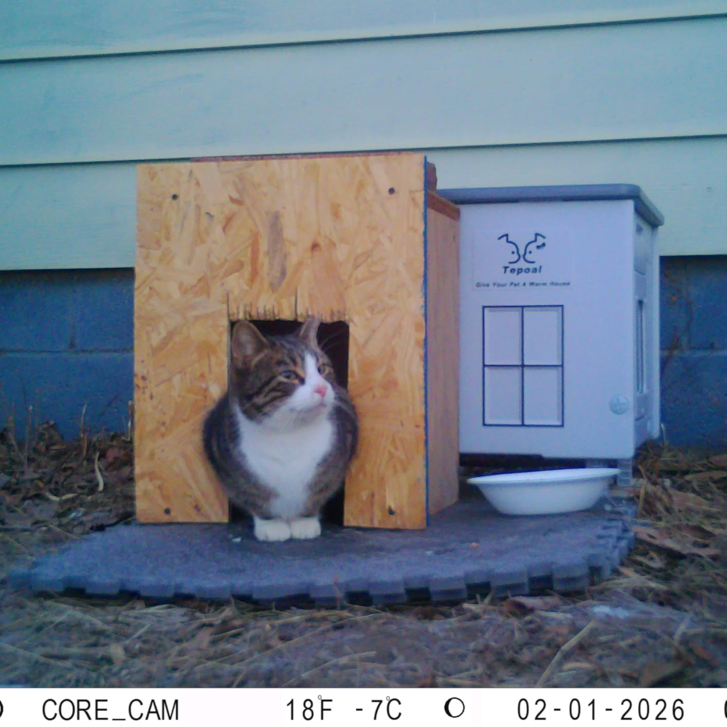 Indestructible Heated Cat House for Outdoor Cats in Winter, 100% Waterproof & Weatherproof Heated Cat House for Outside, Fully Insulated Feral Cat Shelter for Outdoor Barn Strays, 17.7 x 15 x 17.5 in customer photo 1