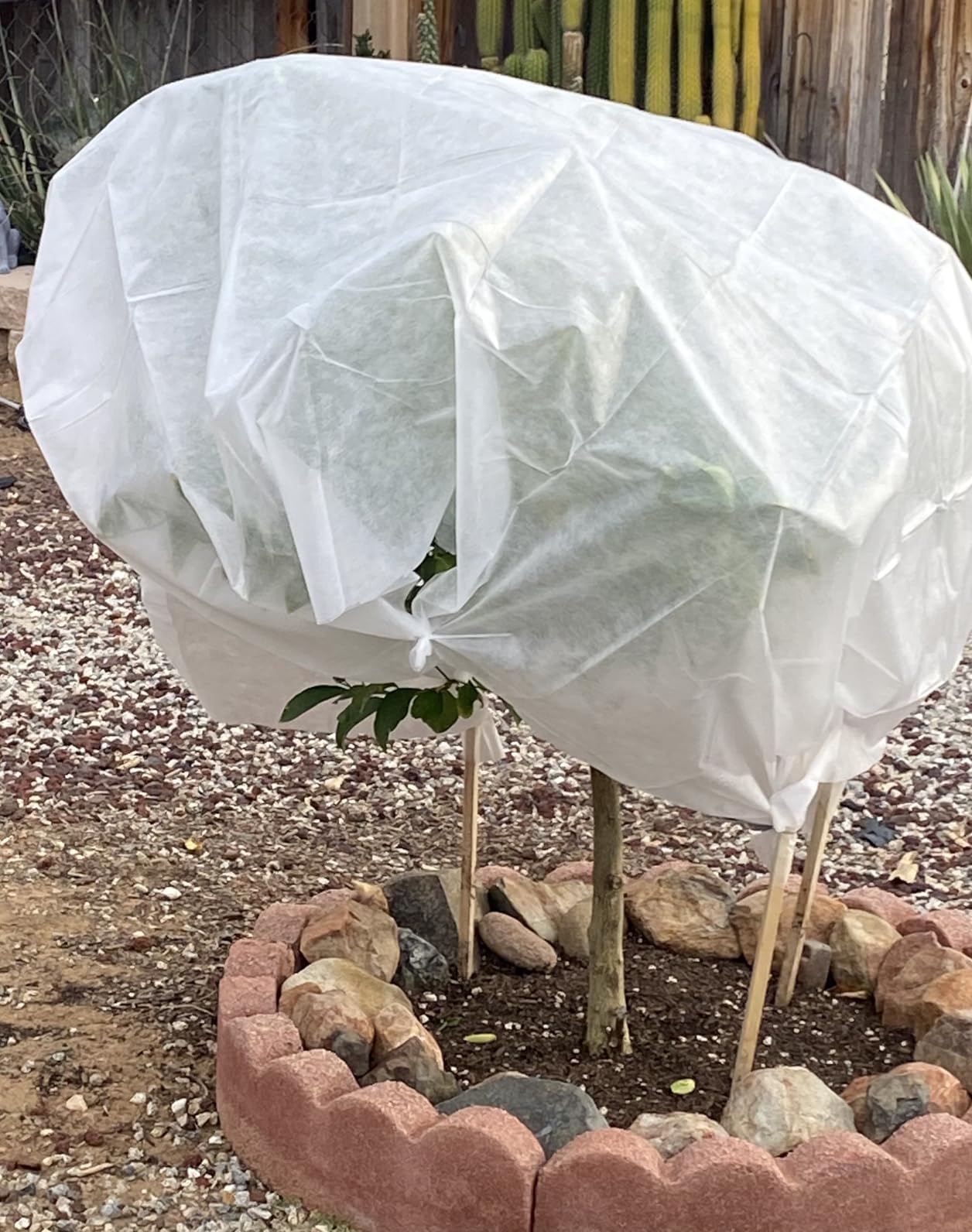 MAQIHAN Plant Cover - 6.5 ft x 13 ft Plant Covers Freeze Protection, Non-Woven Winter Freeze Protection, Reusable Floating Row Frost Blankets for Outdoor Garden, Frost Cloth for Cold Weather Snow customer photo 1