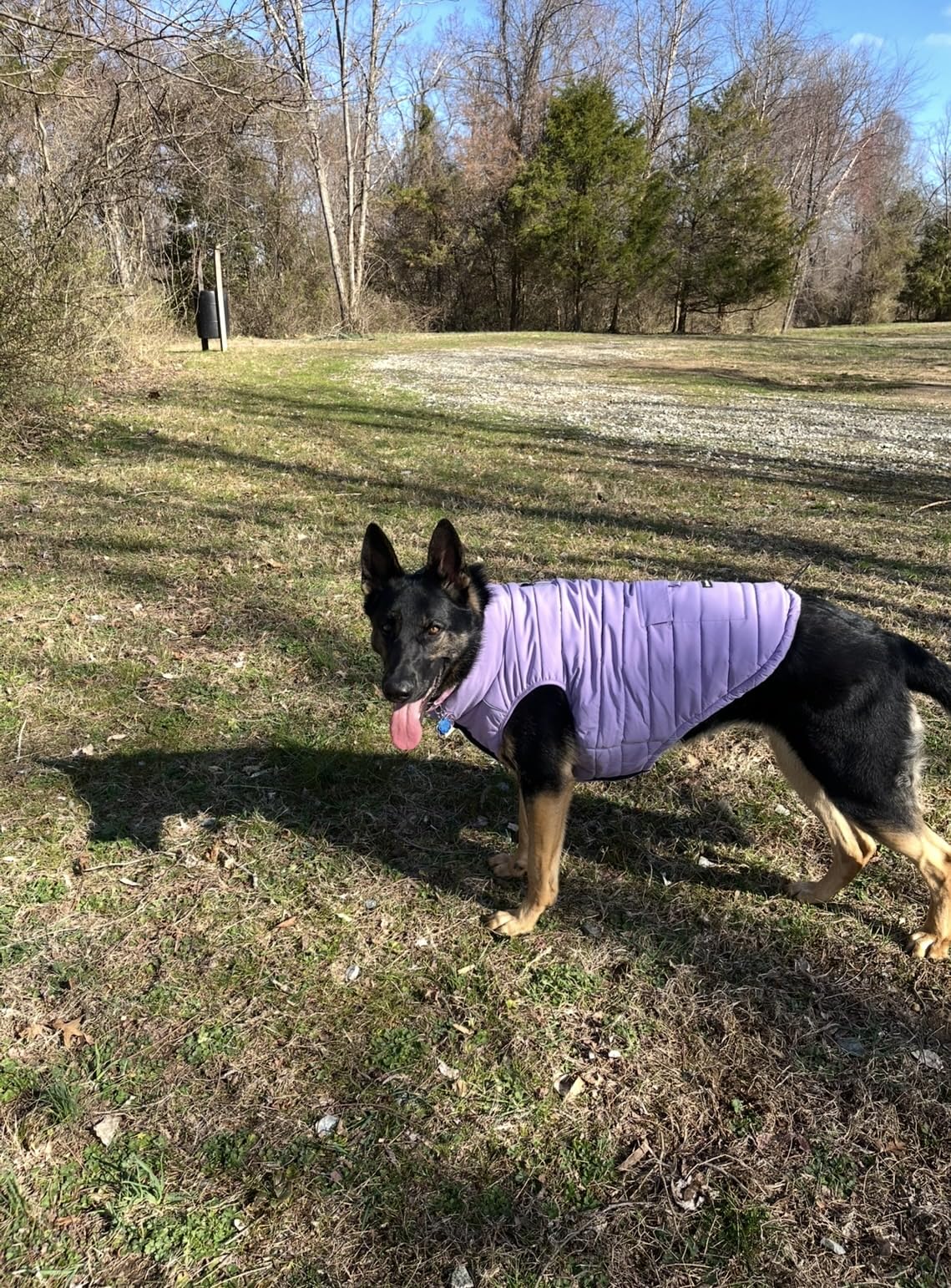 Spark Paws Dog Winter Jacket, Water-Resistant Coat, Warm Reflective Windproof Fleece-Interior, for Medium and Large Dogs customer photo 1