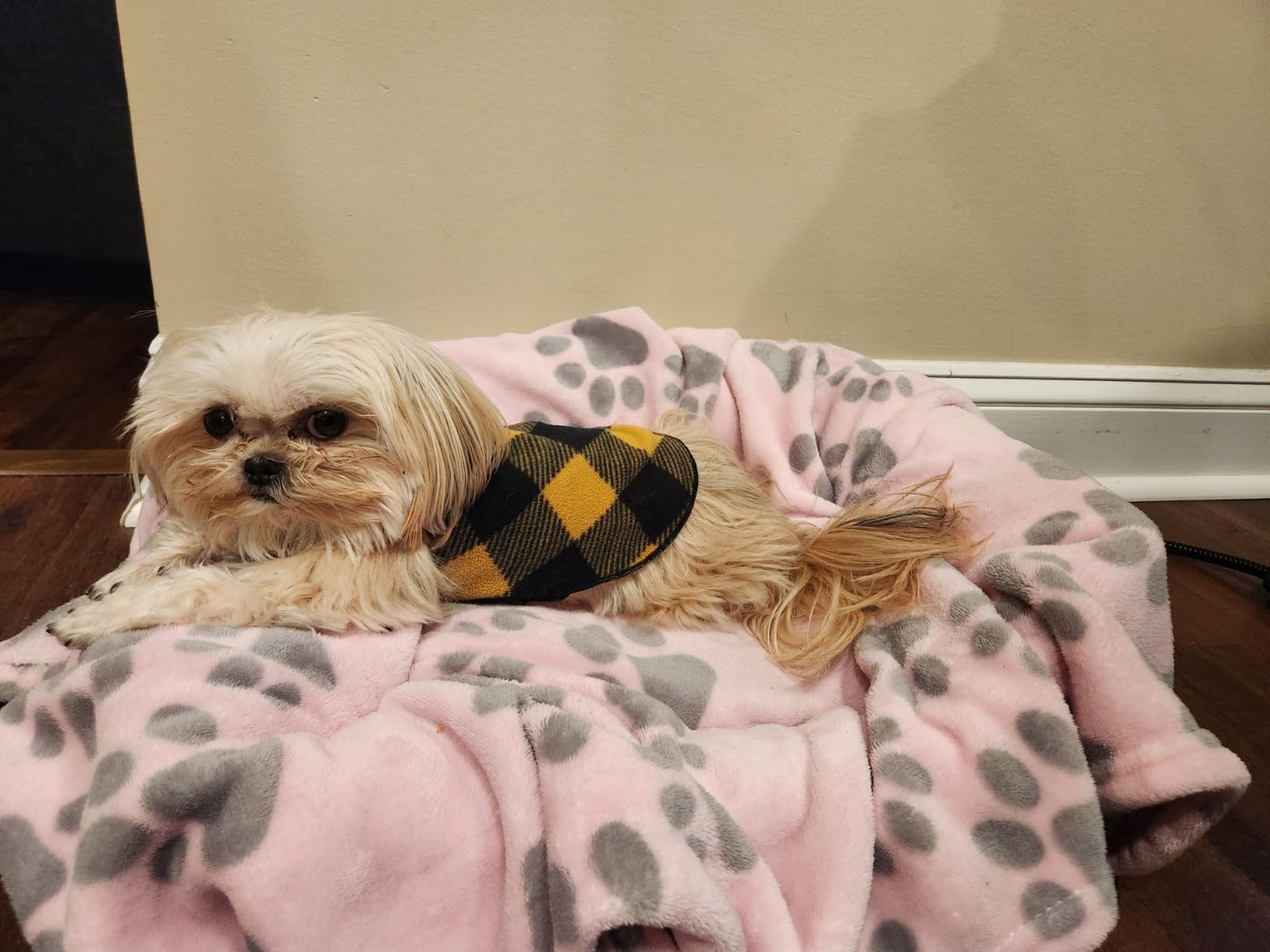 ANPHSIN Pet Heating Pad for Small Cat Dog - 12