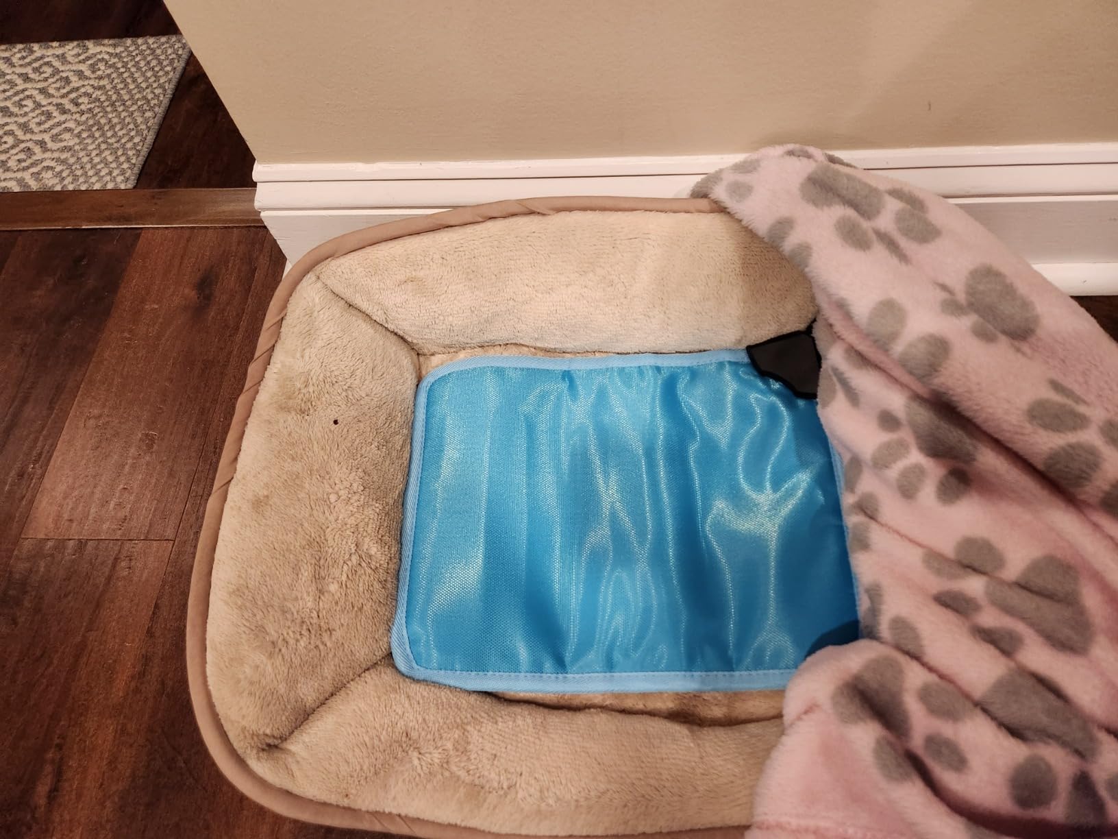 ANPHSIN Pet Heating Pad for Small Cat Dog - 12