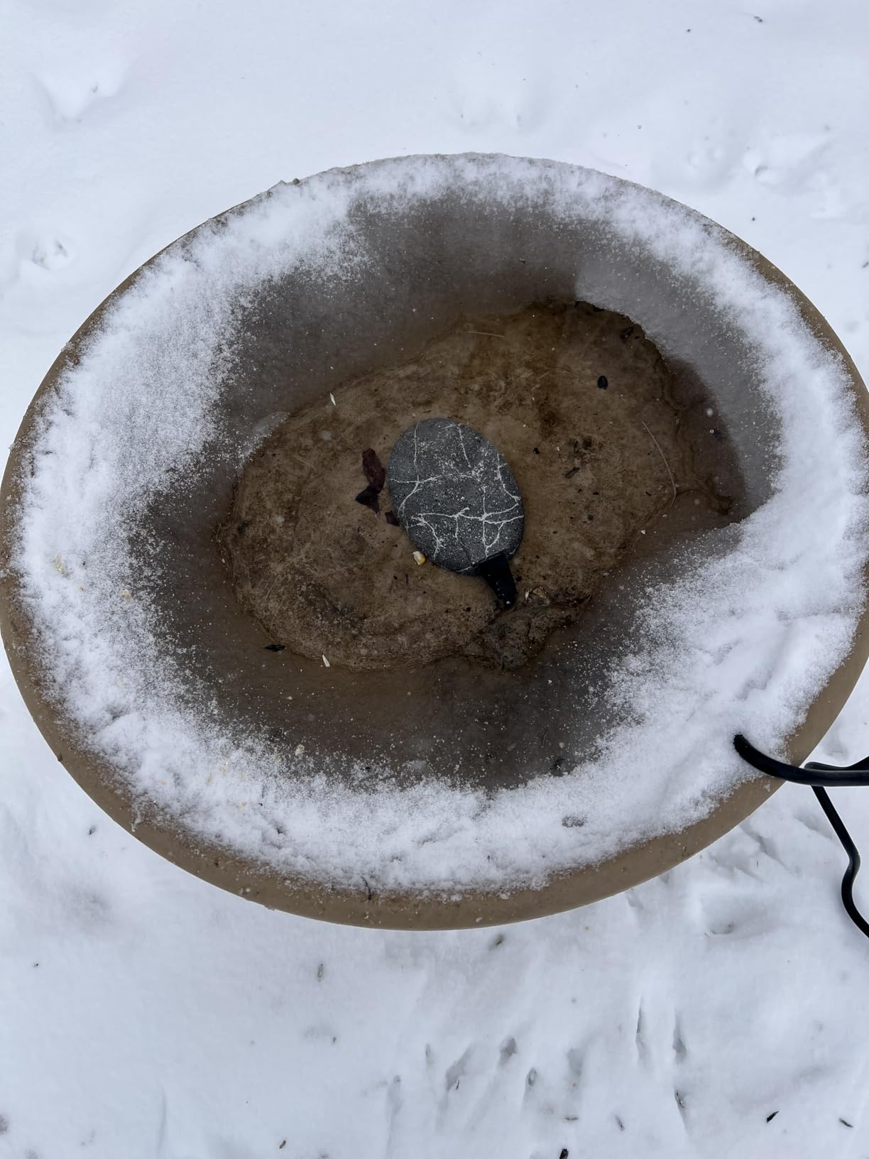 Bird Bath Heaters for Outdoors in Winter, 60W Chicken Water Heater Small Pond Heater De-Icer with Thermostatically Controlled, Pond Warmer for Fish Ponds, Suitable for Birds Chicken Duck Drinking customer photo 1