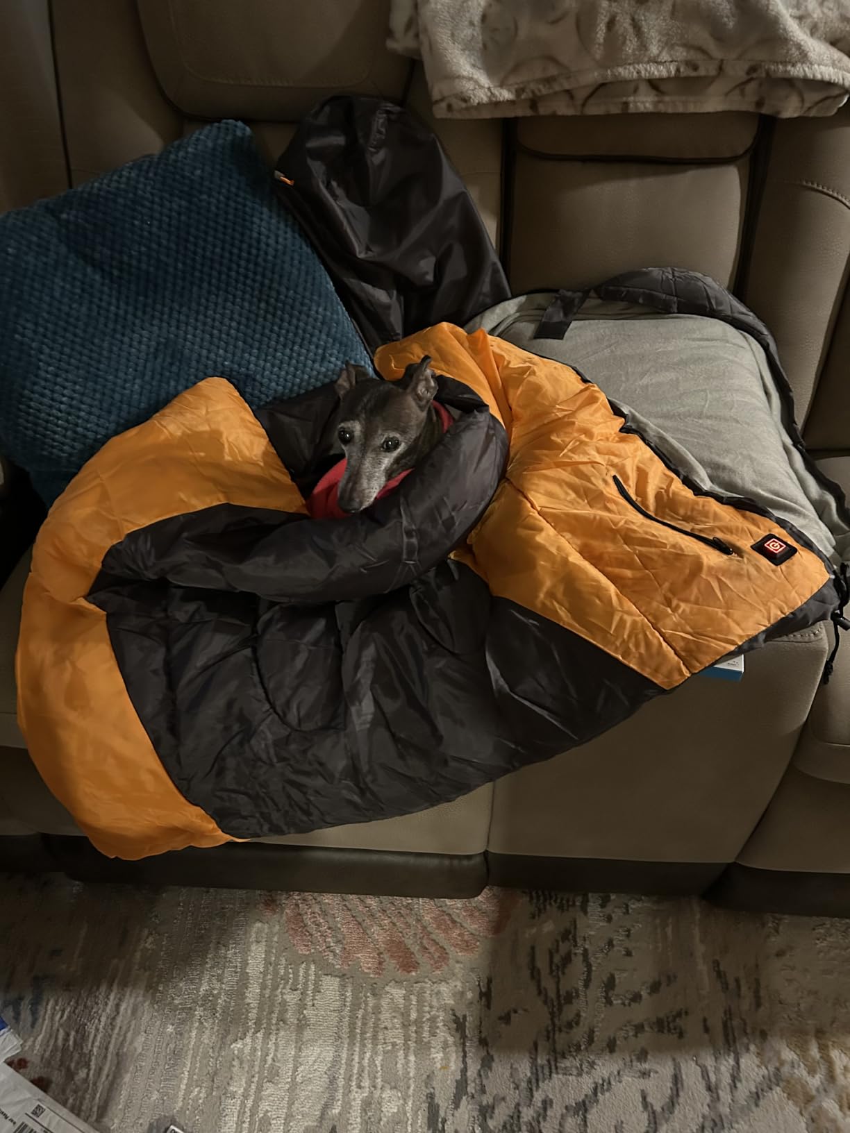 Heating Dog Sleeping Bag, Heated Waterproof Warm Packable Dog Bed Mat with Storage Bag for Indoor Outdoor Travel Camping Hiking Backpacking customer photo 1