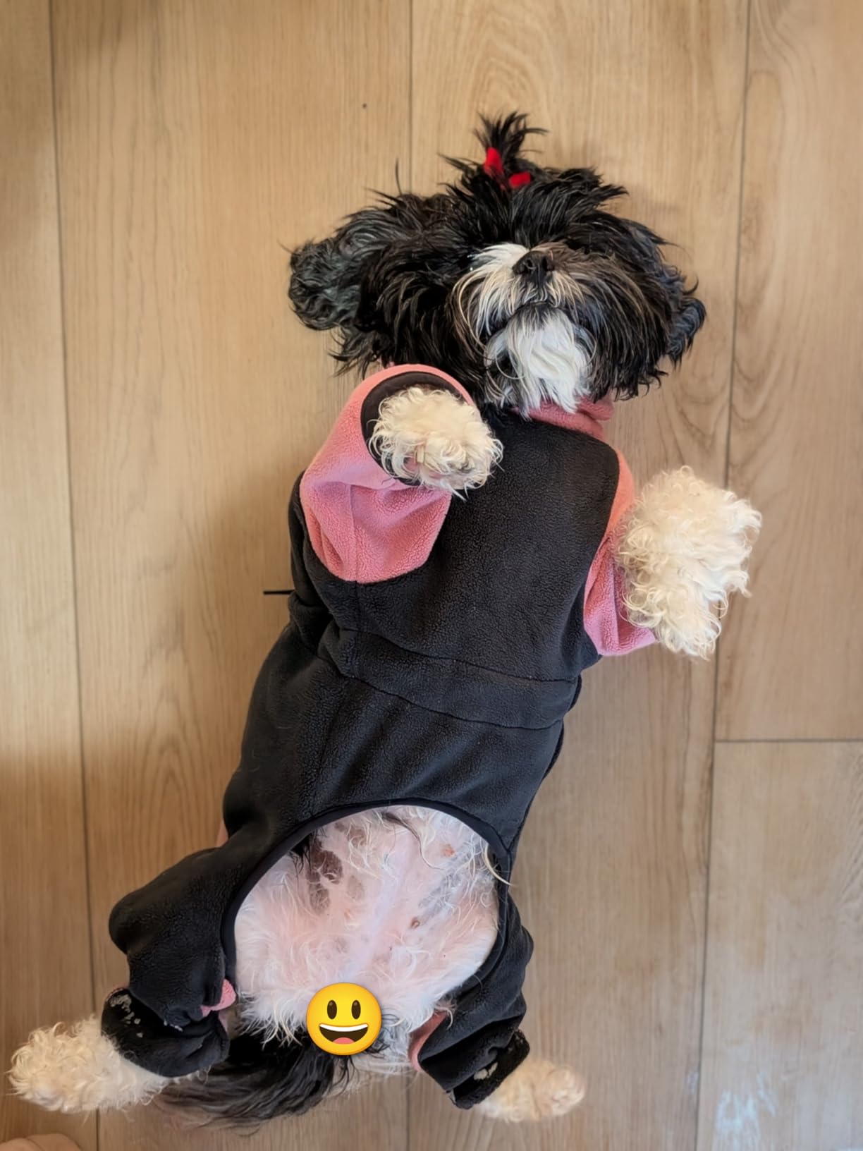 Fleece Dog Coat for Small Medium Dog, Pullover Pajamas Jumpsuit Bodysuit Puppy Coats with Legs, Pet Windproof Warm Cold Weather Jacket Full Body Vest Cozy Snowsuit Outfit Clothes (Black, M) customer photo 2