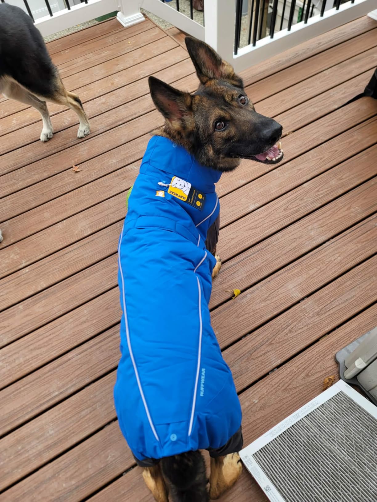 Ruffwear, Vert Coverall Dog Winter Coat, Full Coverage, Waterproof Insulated Snow Suit for Dogs, Adjustable Fit customer photo 1
