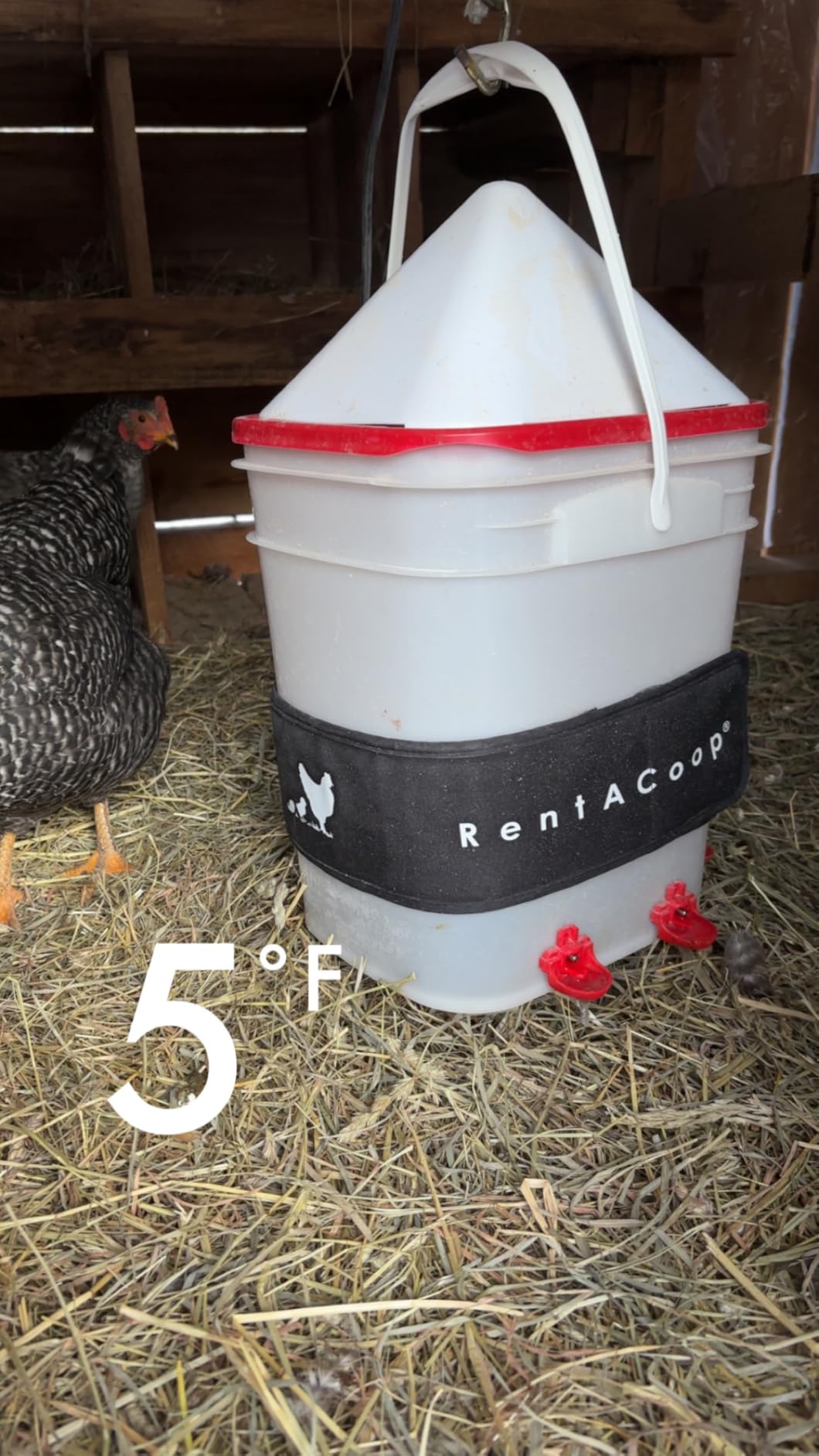 RentACoop Heated Chicken Waterer Belt for Winter, Thermo Bucket Heater Strap LG with Insulated Wrap for 2-5 Gal customer photo 1