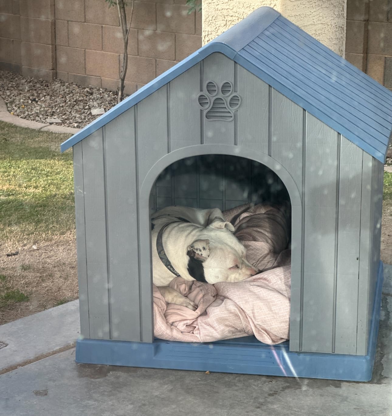 DRATO Large Dog House Indoor Outdoor Waterproof,Puppy Shelter with Air Vents and Elevated Floor,Sturdy Dog Kennel for Small to Large Sized Dogs, Easy to Assemble (Blue, 38.62x36.26x38.07 Inches) customer photo 2