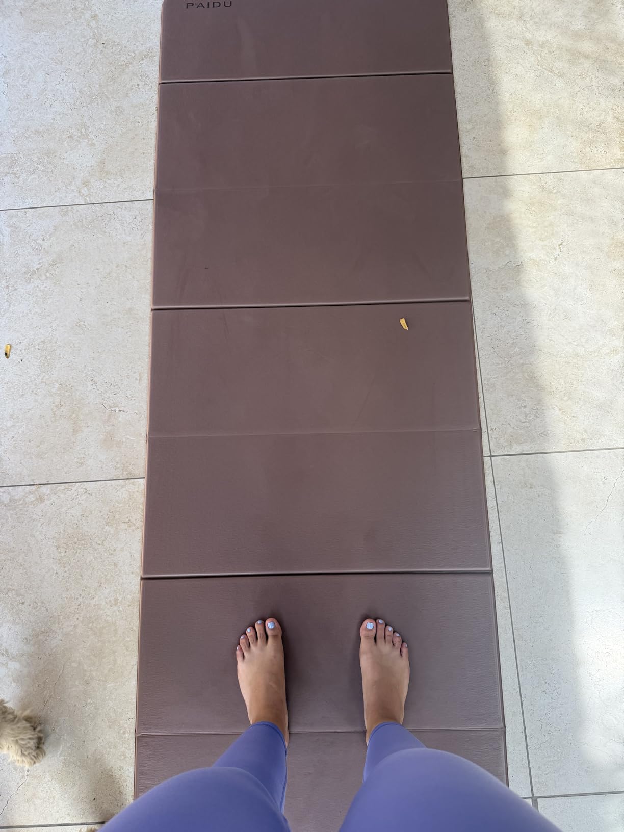 PAIDU Foldable Fitness Yoga Mat | 2/5