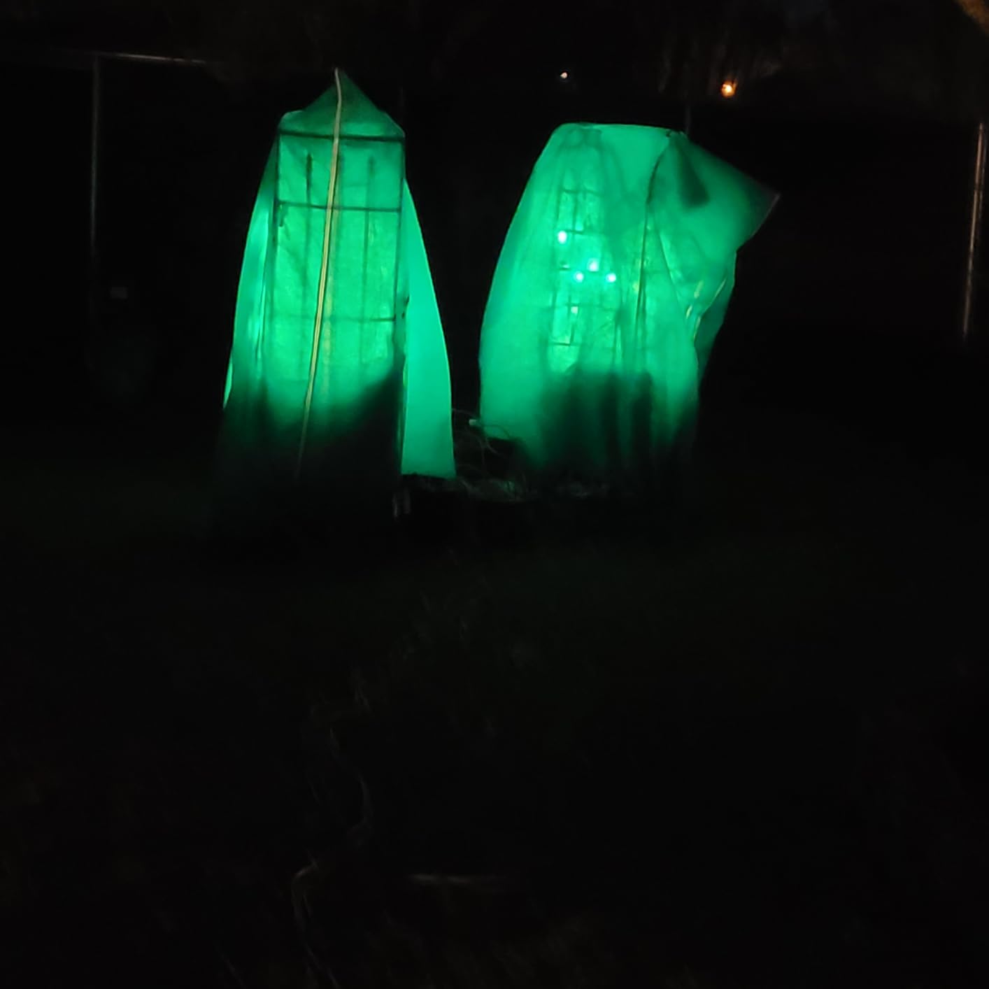Plant Covers Freeze Protection - 2 Pack 95
