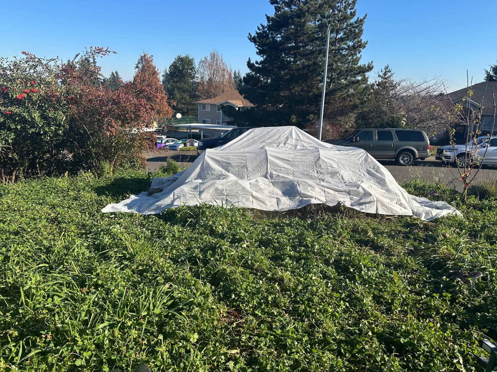 AlpineReach Plant Covers Frost & Sun Protection 10 x 50 ft - Thick 1.2 oz/yd² Freeze Blanket to Low 28°F Temperatures Floating Row, Garden Fabric Material, Protect in Winter Cold, Gardening Down customer photo 2