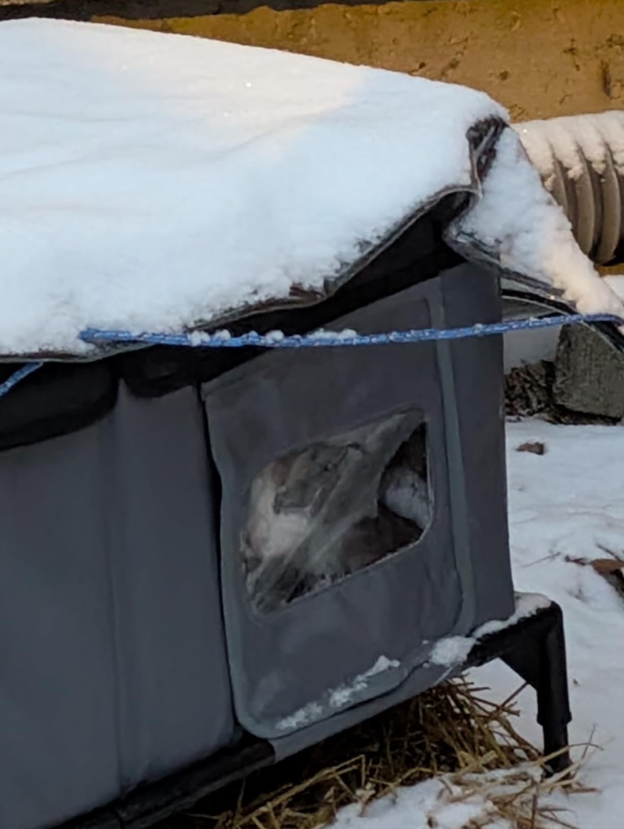 Heated Cat House for Outside Insulated in Winter, Super Large, Fully Waterproof, Adjustable Awning, Escape Door, Indoor Outdoor Cat Shelter for Feral Stray Barn Cat to Stay Warm & Dry, Black/Gray, L Size customer photo 1
