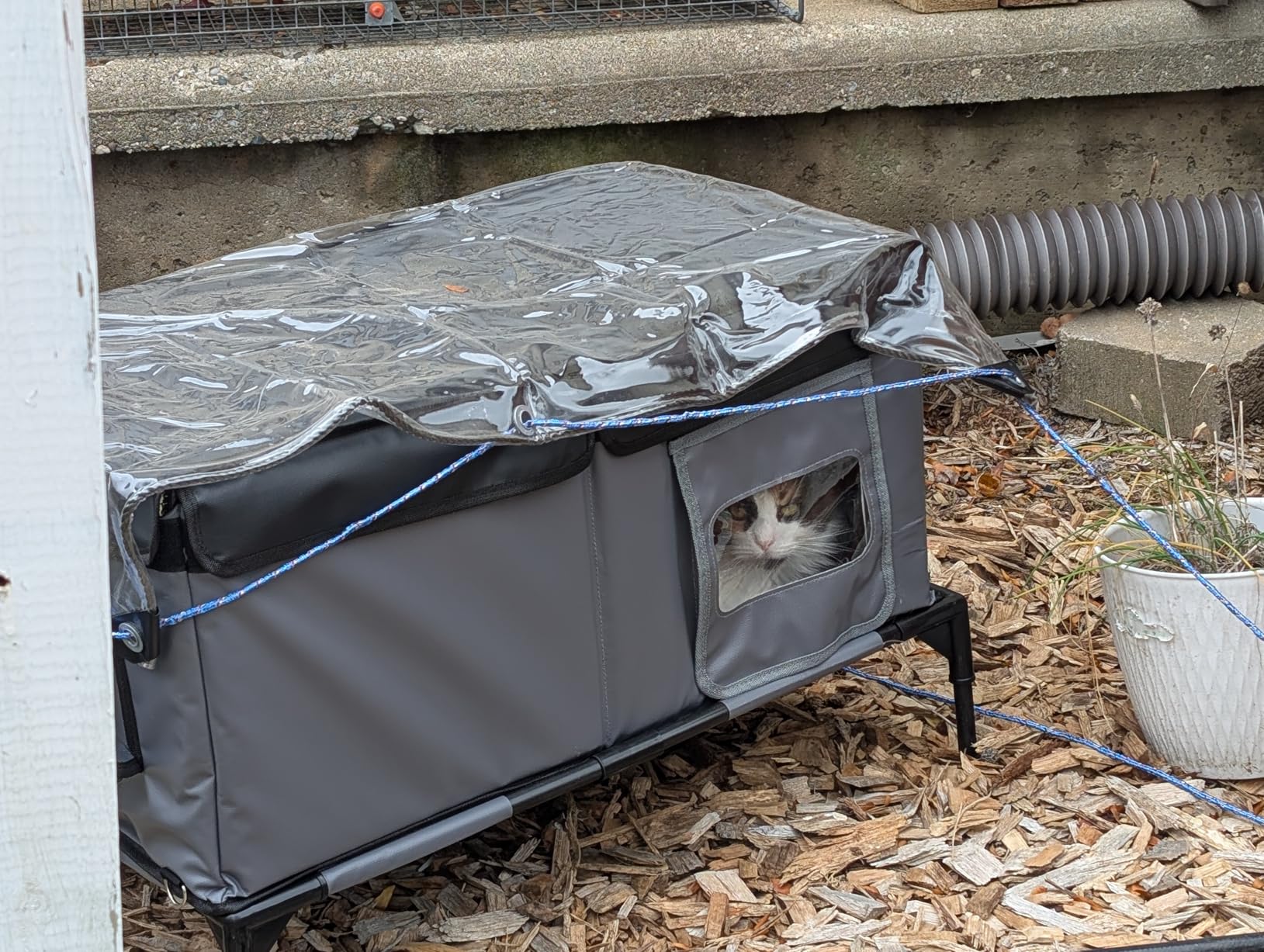 Heated Cat House for Outside Insulated in Winter, Super Large, Fully Waterproof, Adjustable Awning, Escape Door, Indoor Outdoor Cat Shelter for Feral Stray Barn Cat to Stay Warm & Dry, Black/Gray, L Size customer photo 2