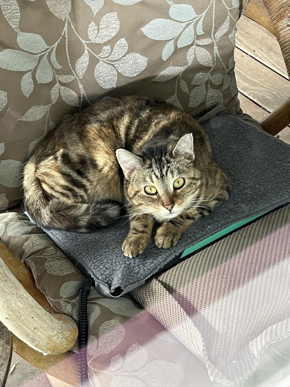 Outdoor Heated Pad for Small Animals, Anti-Bite & Waterproof Cat Heating Pad, Indoor Pet Warmer for Cat Houses/Rabbit Hutches/Chick Brooders in Extreme Weather, 16.5