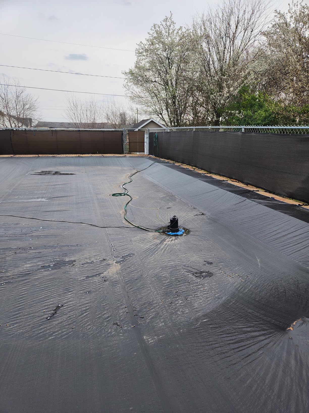 SEESII 1/3HP Pool Cover Pump - Automatic On/Off, 3035GPH Submersible Water Pump with Filter Net, 25ft Power Cord, Check Valve, Sump Pump for Swimming Pool, Hot Tubs, Pond, Basement, Rooftops customer photo 1
