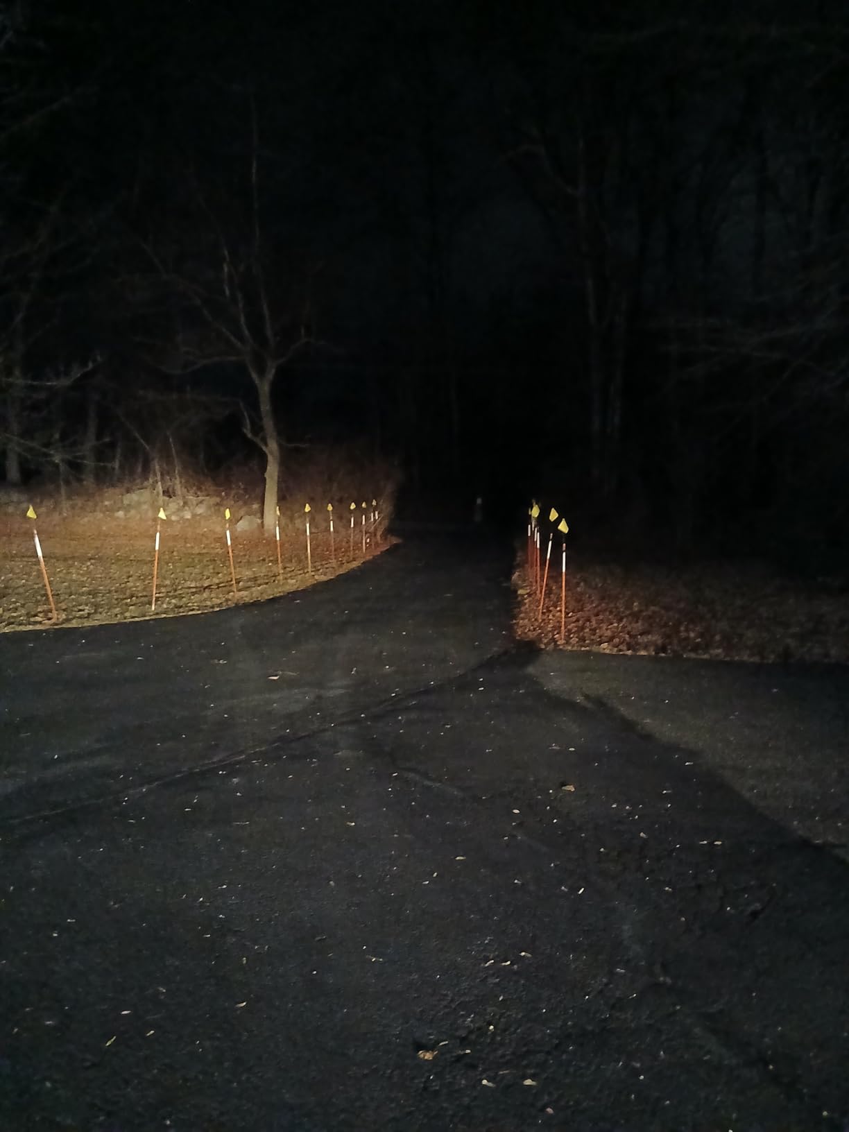 40Pcs Driveway Marker Reflective Driveway Poles Fiberglass Snow Stakes with Reflective Tape for Easy Visibility at Night (4Ft-40Pcs) customer photo 2