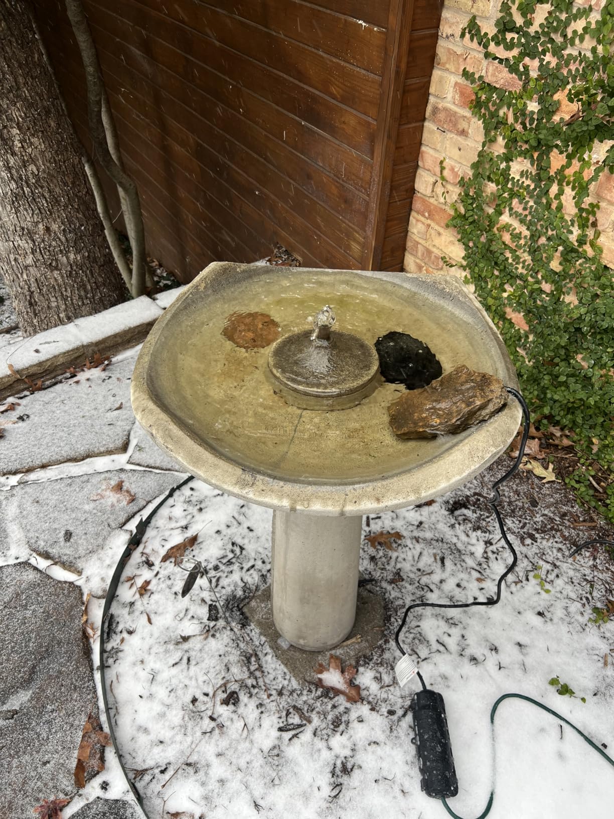 Bird Bath Heater for Outdoors in Winter, 100W Birdbath Water Heater Submersible for Winter Full-Covered Aluminum, Heated Bird Bath Deicer Thermostatic Control for Yard Patio Small Pond(Black) customer photo 2