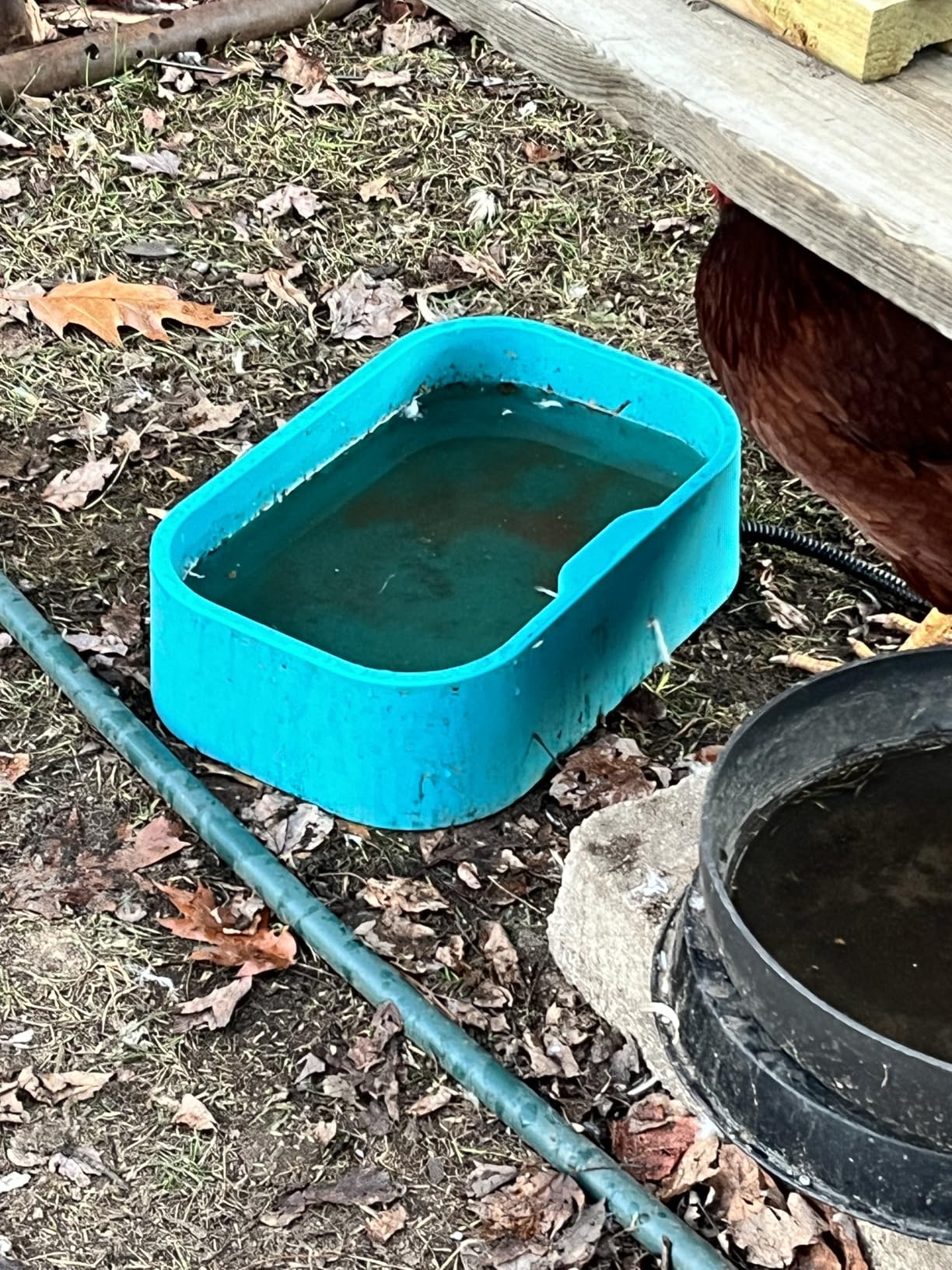 IPOW 1.45 Gal/5.5L Extra Large Heated Water Bowl with 5 Layers Design for Heating & Heat Preservation Provides Drinkable Water & Food in Winter Heated Pet Bowl for Cat Rabbit Chicken Duck Squirrel customer photo 2
