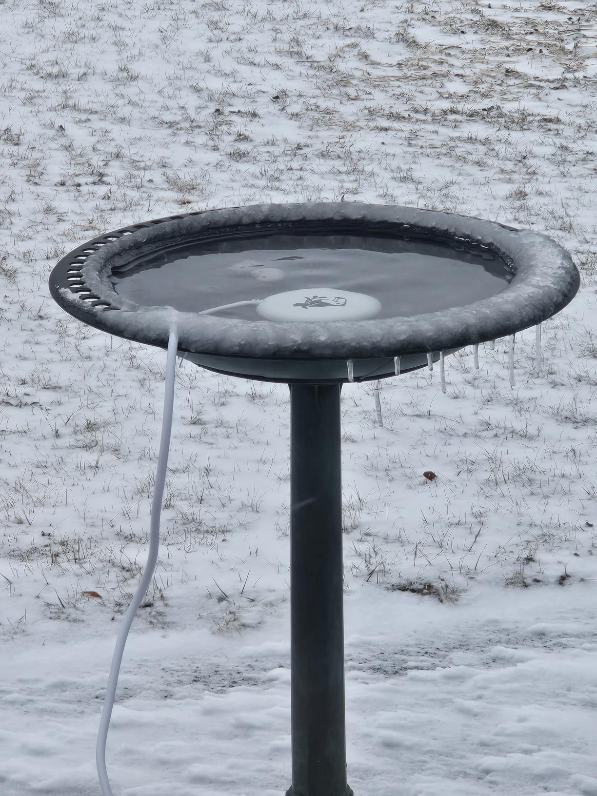 Bird Bath Heater | Pond De-icer, Safety Thermostatically Controlled with Auto Shut-Off, Cast Aluminum Submersible Outdoor Water Heater for Birdbaths, Chicken and Small Animals, 3.6ft Power Cord, 70W customer photo 2