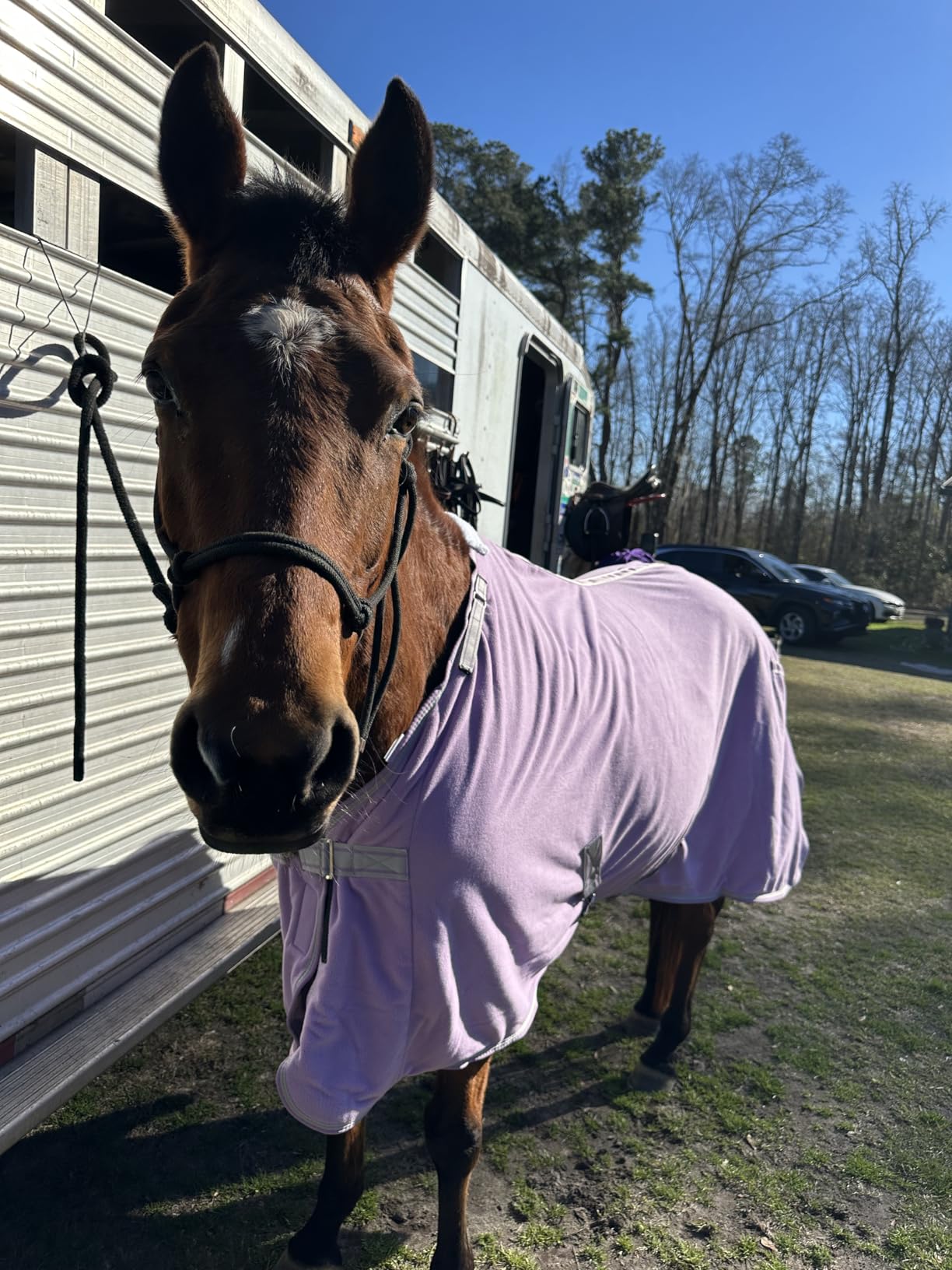 LEAFOREST Horse Fleece Blanket Polar Fleece Cooler Liner Soft Exercise Blankets for Horses Moisture Wicking Sheet in the Barn, Stable, Stall, Pasture, Paddock customer photo 1