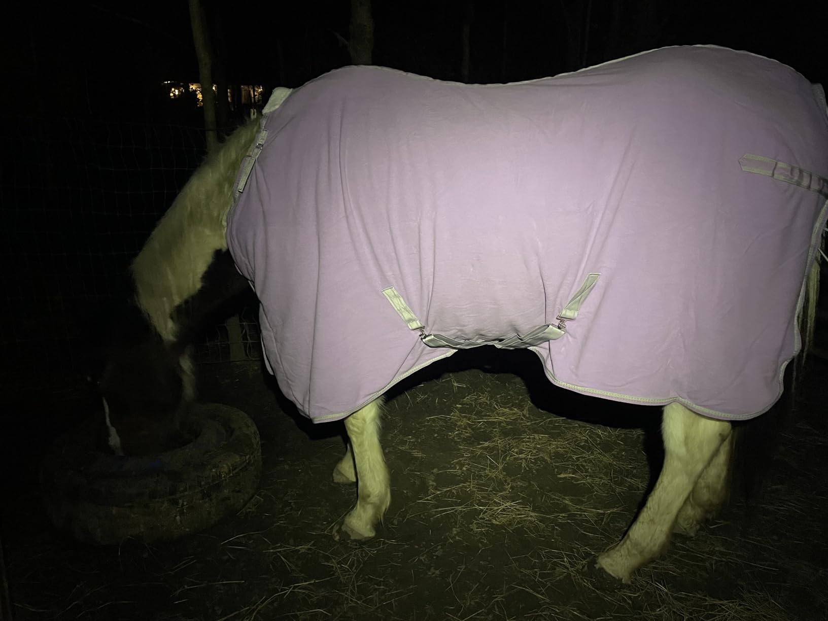 LEAFOREST Horse Fleece Blanket Polar Fleece Cooler Liner Soft Exercise Blankets for Horses Moisture Wicking Sheet in the Barn, Stable, Stall, Pasture, Paddock customer photo 2