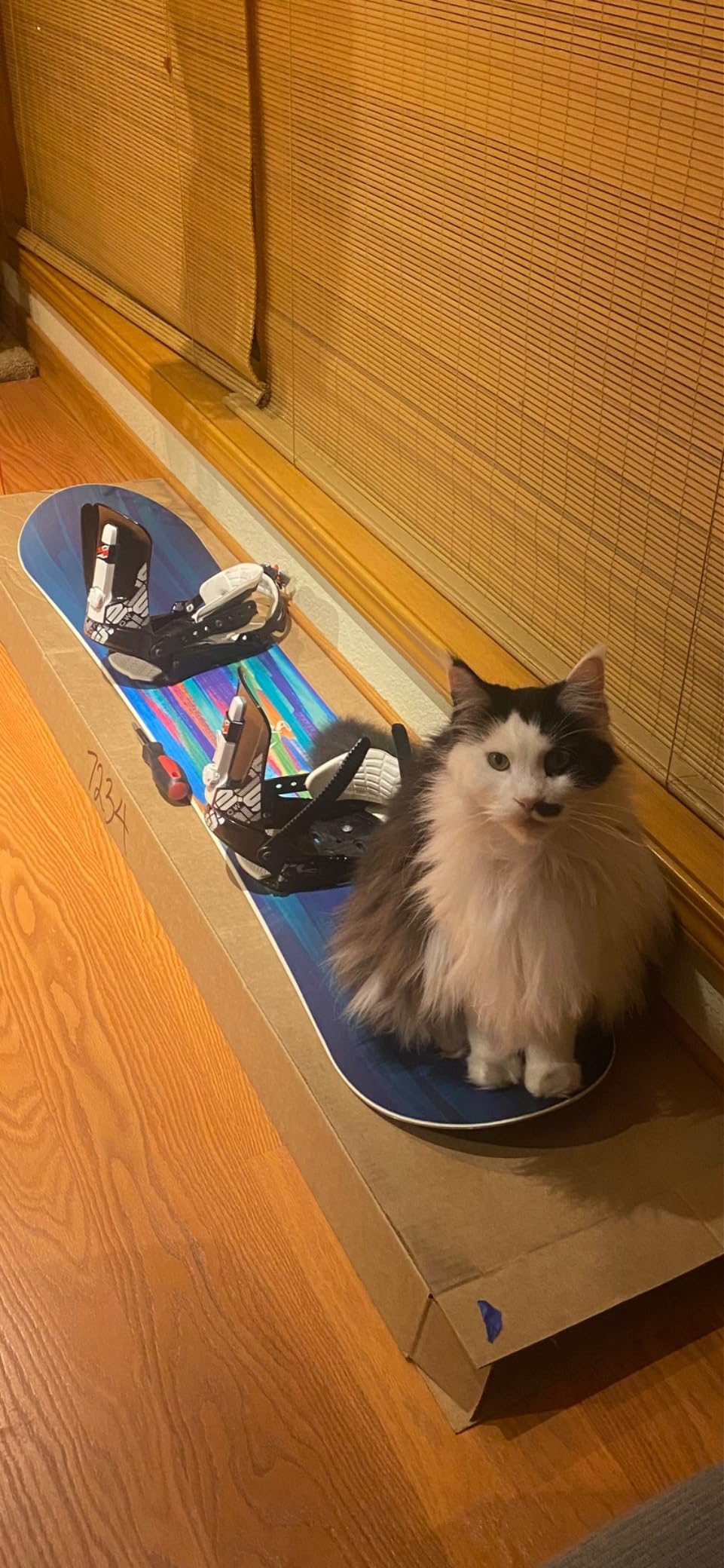 Nitro Lectra Women's All-Mountain Snowboard customer photo 1