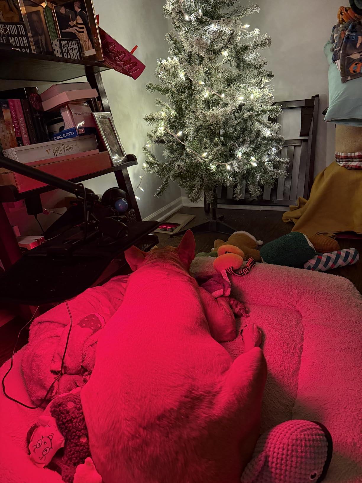 Red Light Therapy for Body, 3 in 1 Infrared Red Light Therapy Lamp with Stand & Wrap, 660nm+850nm, 4 Modes & 6 Timers, Full Body Red Light Panel at Home for Beauty Recovery Relaxation customer photo 2