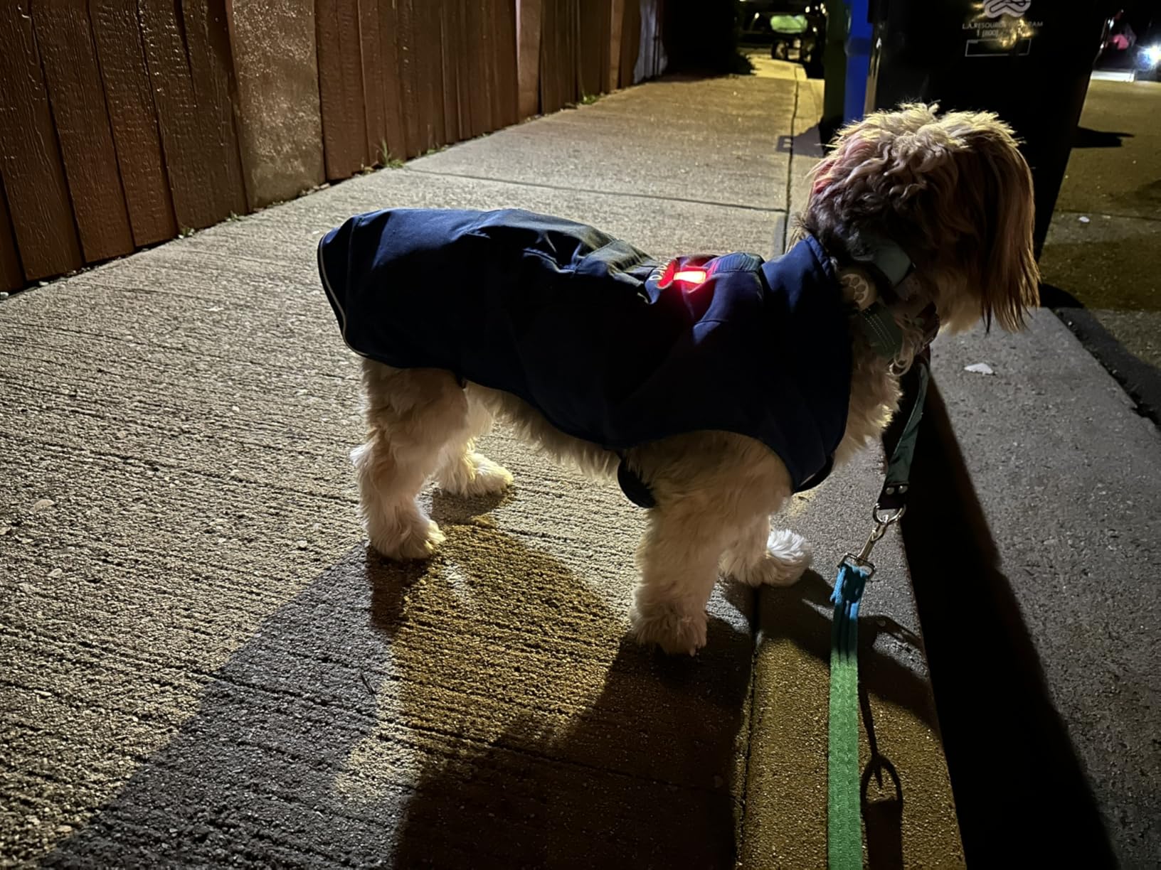 ORORO Heated Dog Vest with Battery, Reflective Strips, Adjustable Padded Dog Vest with 4 Heating Zones (Blue, S) customer photo 2