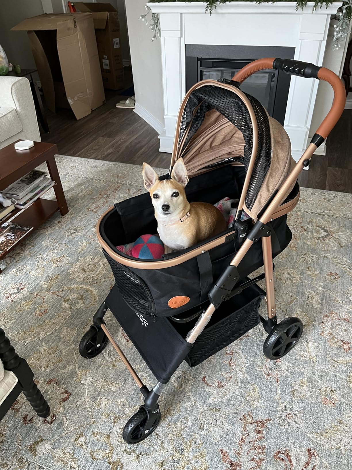Dog Cat Stroller for Small/Medium Pets up to 50 lbs, 3-in-1 Foldable Pet Stroller with Detachable Carrier, Car Seat, Storage Basket, Cup Holder, Hanging Bag, Rain Cover, All-Terrain 4 Wheels (Khaki) customer photo 1