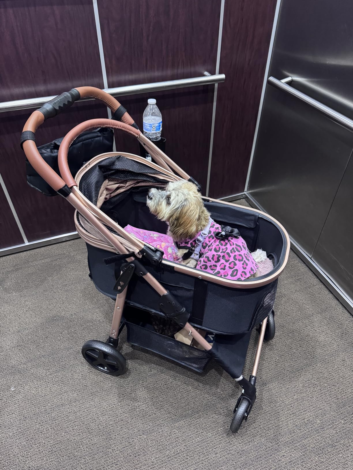 Dog Cat Stroller for Small/Medium Pets up to 50 lbs, 3-in-1 Foldable Pet Stroller with Detachable Carrier, Car Seat, Storage Basket, Cup Holder, Hanging Bag, Rain Cover, All-Terrain 4 Wheels (Khaki) customer photo 2