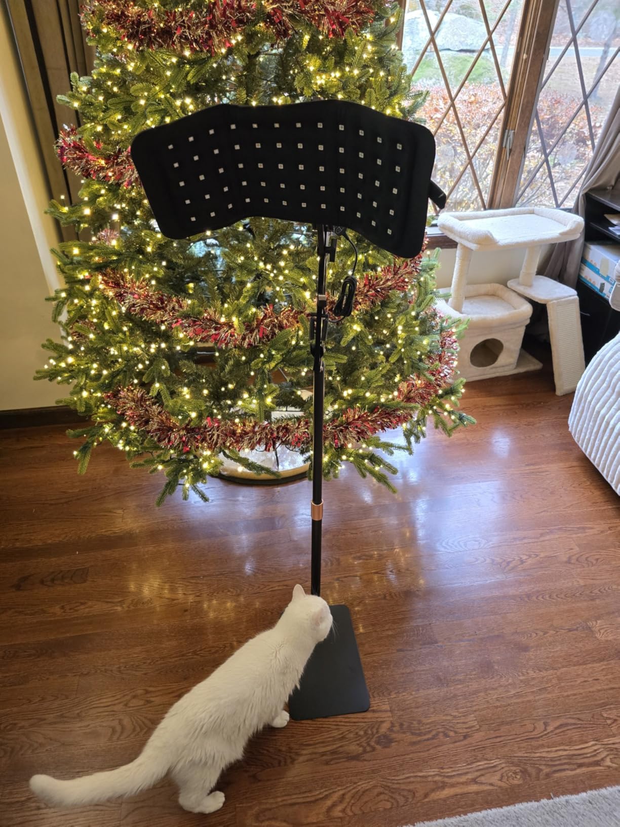 Red Light Therapy Stand, Light Therapy Stand Angle Height Adjustable Holder, Install the Light Therapy Pad on the Stand, You can use it on the Whole Body customer photo 1