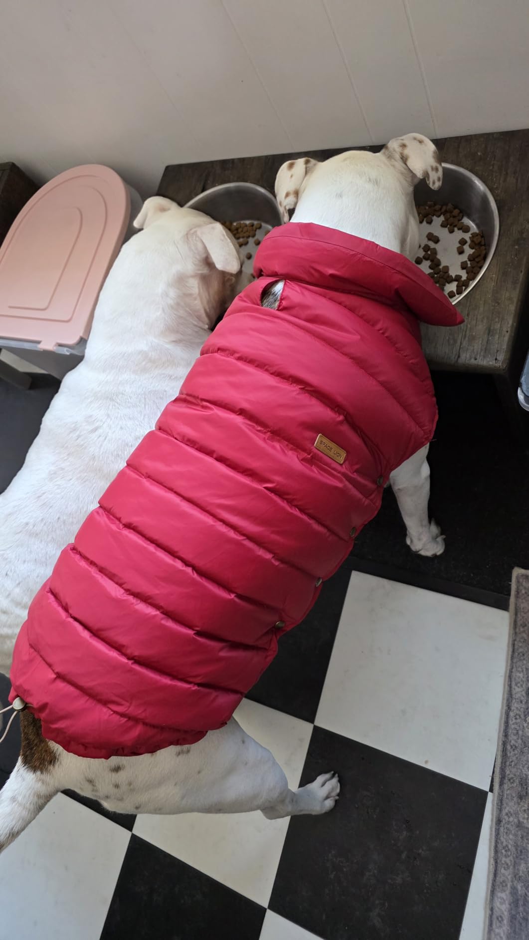 SPACE LION Dog Puffer Jacket, Down Winter Coat, Durable Outdoor Coat for Cold and Windy Conditions, Lightweight & Adjustable Fit Coats for Large Dogs, Onyx Black, Size22/XL+ customer photo 1