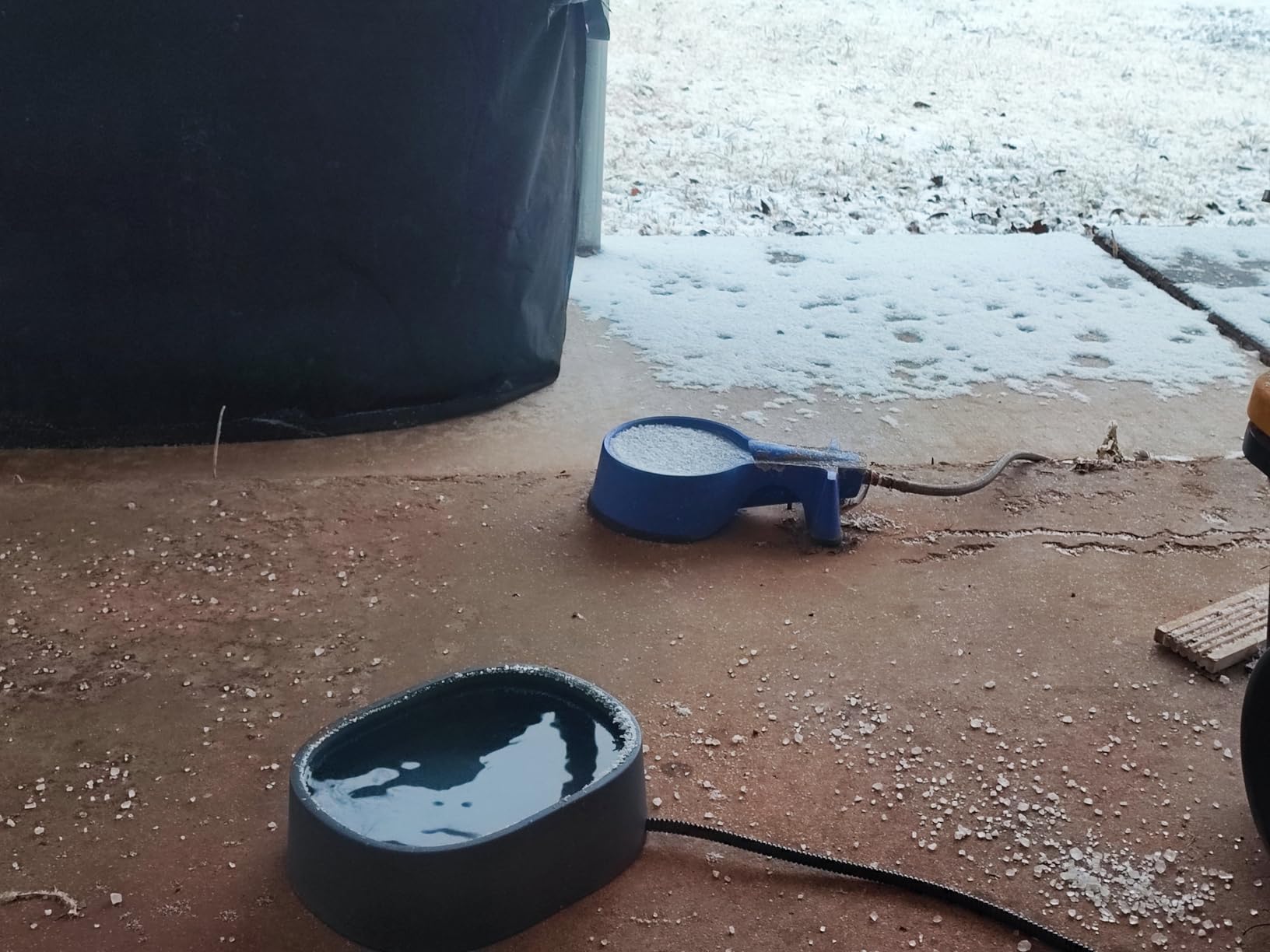 Heated Water Bowl for Large Dogs - 0.93 Gallon/118 OZ - Outdoor Pet Thermal Bowl with Chew-Proof Cord - Provides Drinkable Water in Winter - Suitable for Multi-Pets, & Cats, Chickens, Birds customer photo 1
