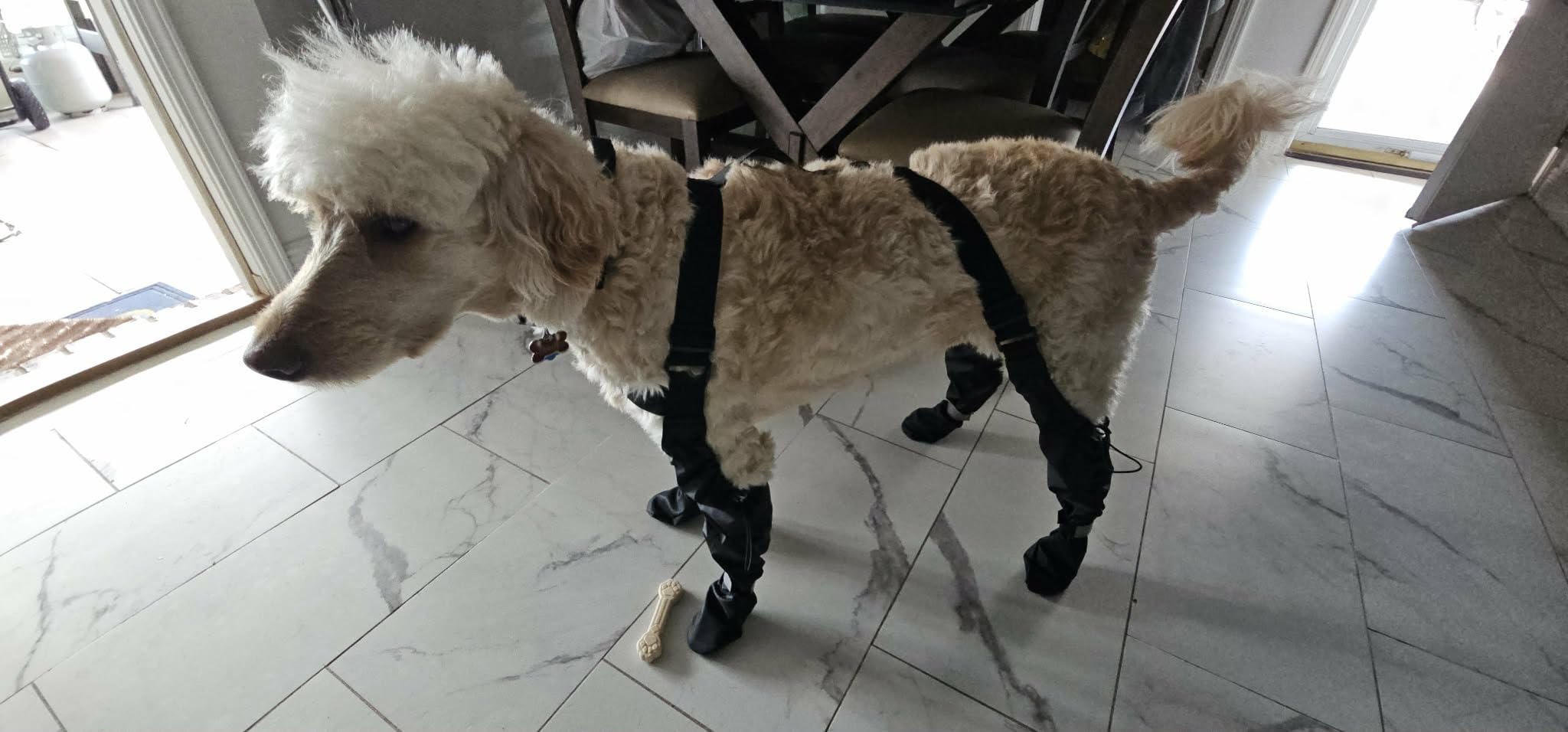 Waterproof Dog Suspender Boots, Reflective Anti-Slip Dog Shoes with Adjustable Straps for Small Medium Large Dogs, Stay-On Dogs Paw Protector Leggings for Outdoor Walking, Rain & Snow Hiking customer photo 1