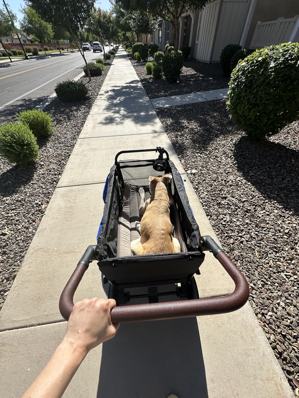 Dog Wagon for Medium & Large Dogs, Foldable All-Terrain Dog Stroller Wagon with Ramp, Adjustable Handle, One-Step Brake, Heavy Duty Pet Wagon customer photo 1