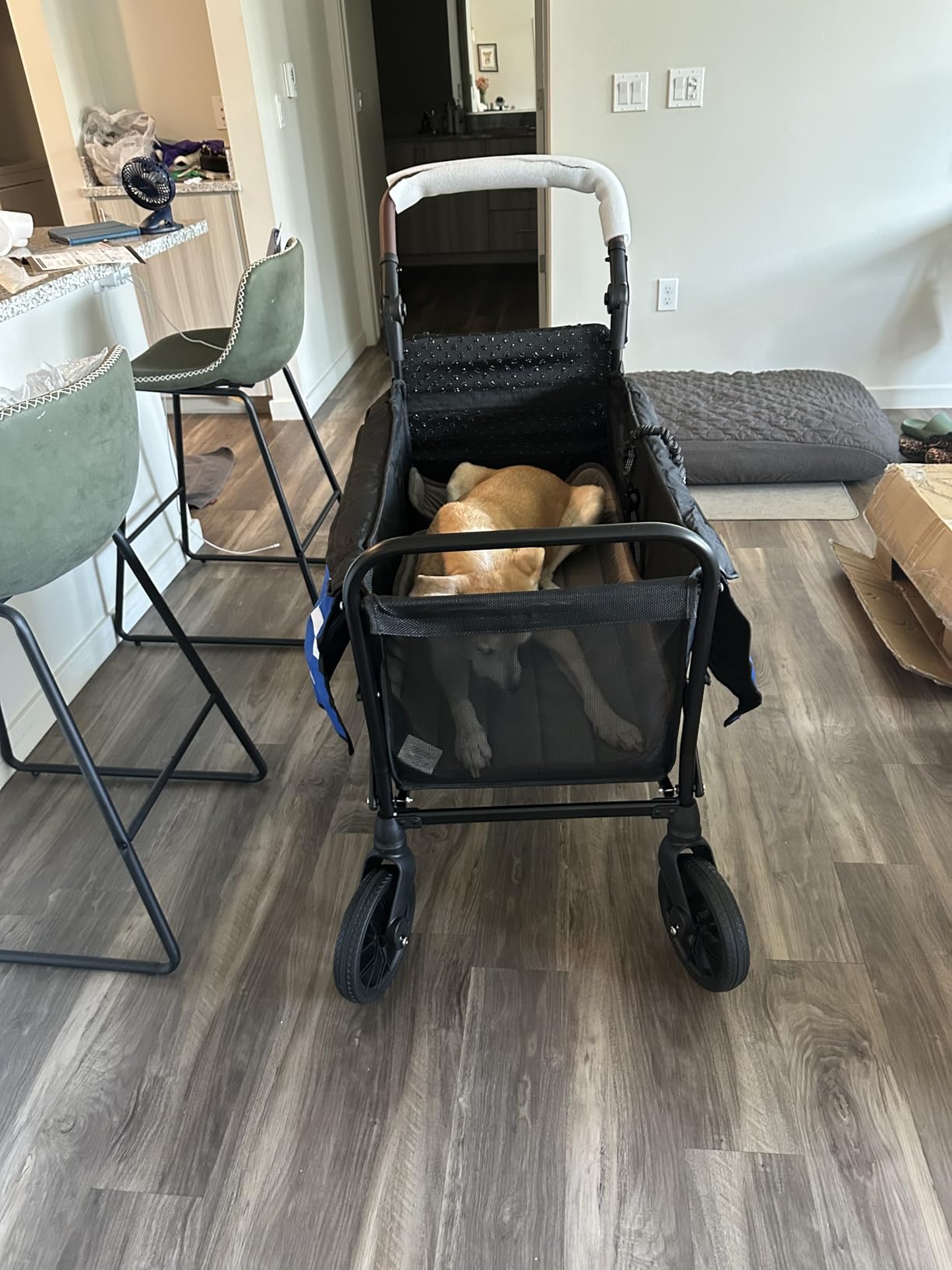 Dog Wagon for Medium & Large Dogs, Foldable All-Terrain Dog Stroller Wagon with Ramp, Adjustable Handle, One-Step Brake, Heavy Duty Pet Wagon customer photo 2