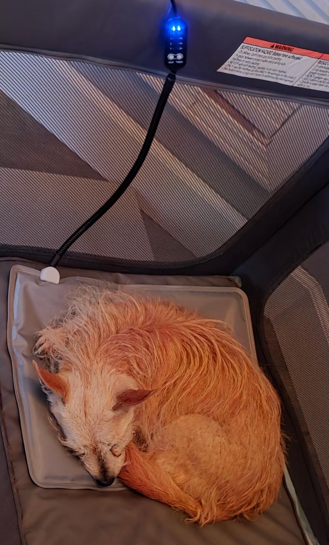 USB Pet Heating Pad - Turns Any Pet Bed Heated (Use Inside Bed), 5V/2A Required, 5-Temp & Timer, 140°F Auto Shut-Off, Waterproof Warmer for Cats/Dogs, Power Bank/Wall Powered (8