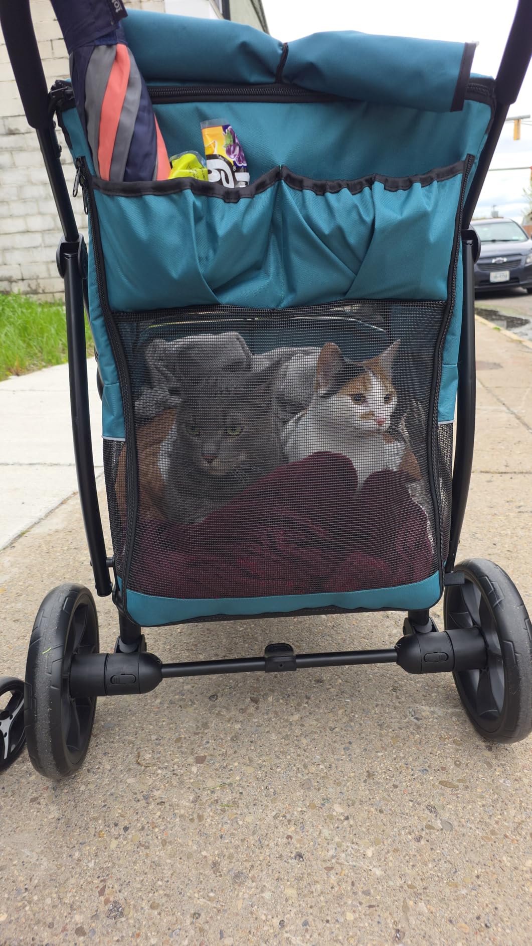 PawHut 3 Wheel Pet Stroller, Dog Stroller Dual Entry, Easy One-Click Quick Fold, All-Terrain Wagon Cart with Air Mesh, Washable Cushion, for Small and Medium Dogs and Cats Up to 44 lbs customer photo 1
