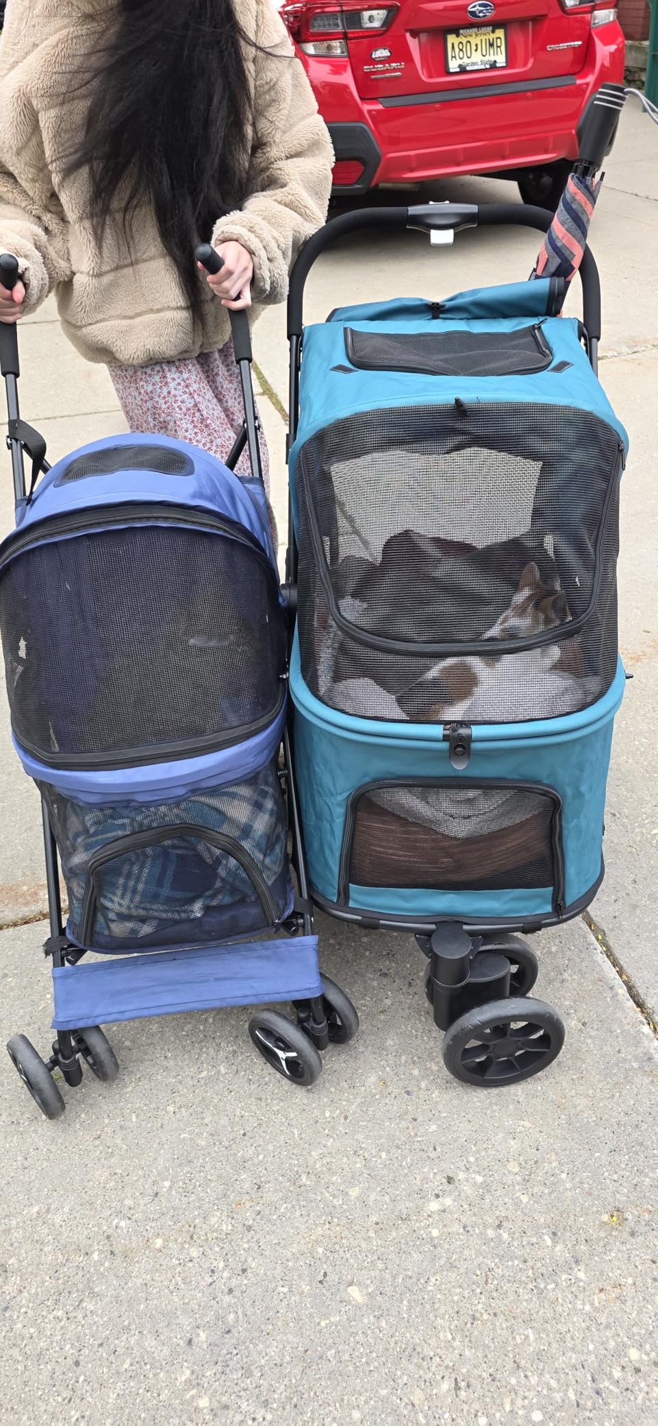 PawHut 3 Wheel Pet Stroller, Dog Stroller Dual Entry, Easy One-Click Quick Fold, All-Terrain Wagon Cart with Air Mesh, Washable Cushion, for Small and Medium Dogs and Cats Up to 44 lbs customer photo 2