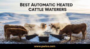 Best Automatic Heated Cattle Waterers