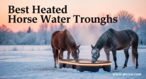 Best Heated Horse Water Troughs