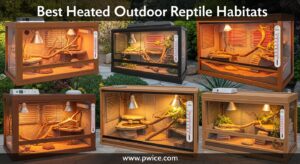 Best Heated Outdoor Reptile Habitats