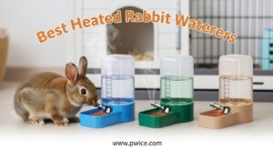 Best Heated Rabbit Waterers