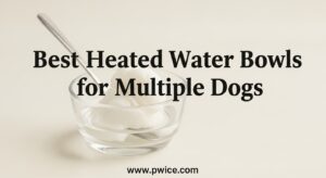 Best Heated Water Bowls for Multiple Dogs