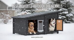 Best Insulated Outdoor Dog Kennels
