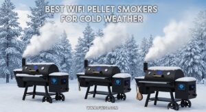 Best WiFi Pellet Smokers for Cold Weather