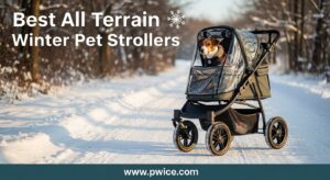 Best All Terrain Winter Pet Strollers