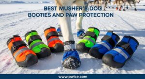 Best Musher's Dog Booties and Paw Protection