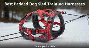 Best Padded Dog Sled Training Harnesses